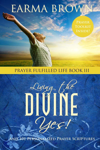 Living The Divine Yes Ebook